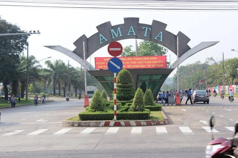 MUA XE NÂNG TẠI ĐỒNG NAI TỐT VÀ UY TÍN